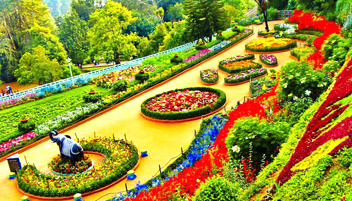 Ooty